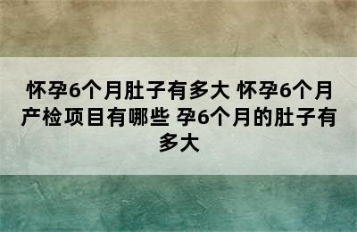 怀孕6个月肚子有多大 怀孕6个月产检项目有哪些 孕6个月的肚子有多大